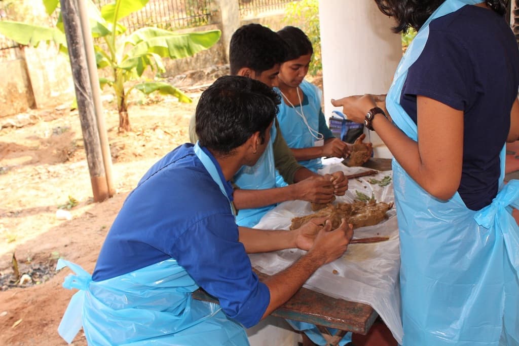 Nizar Rahim and Mark School of Architecture Kollam KLEI Workshop 2015 photo 6