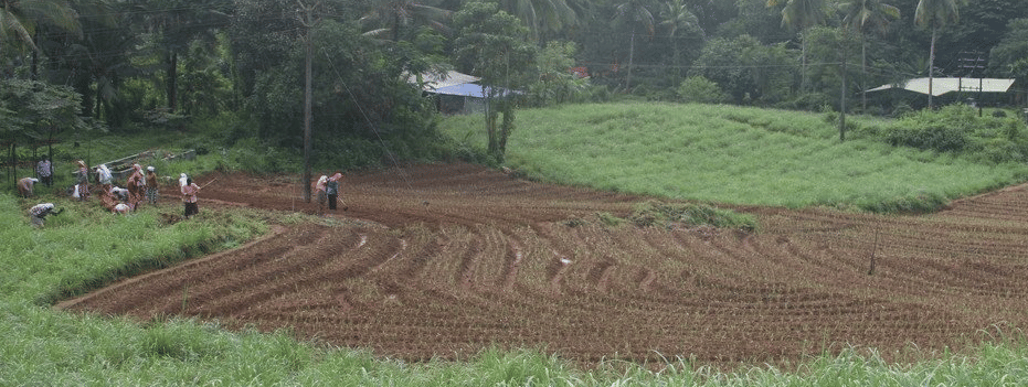 KAU Thrissur Campus photo 6