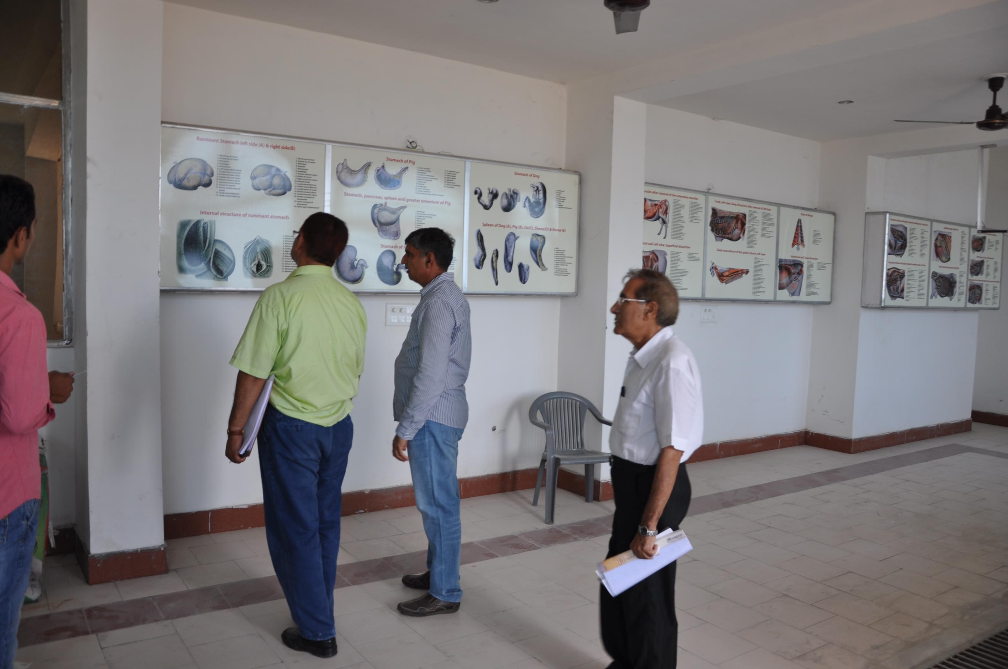 International Institute of Veterinary Education & Research Rohtak Facilities photo 3