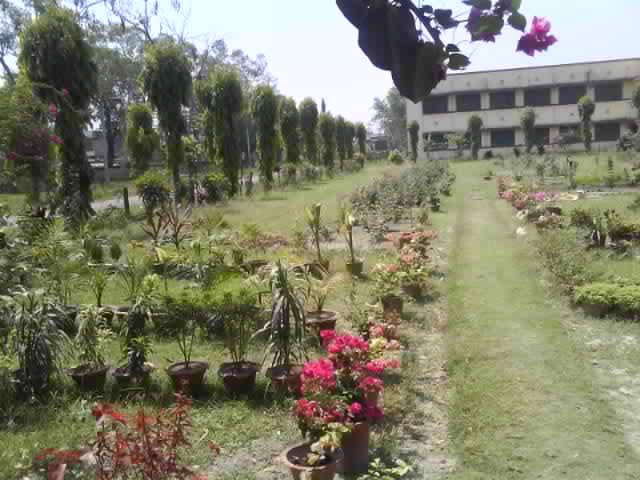 MIT Muzaffarpur Building & Infrasture photo 11