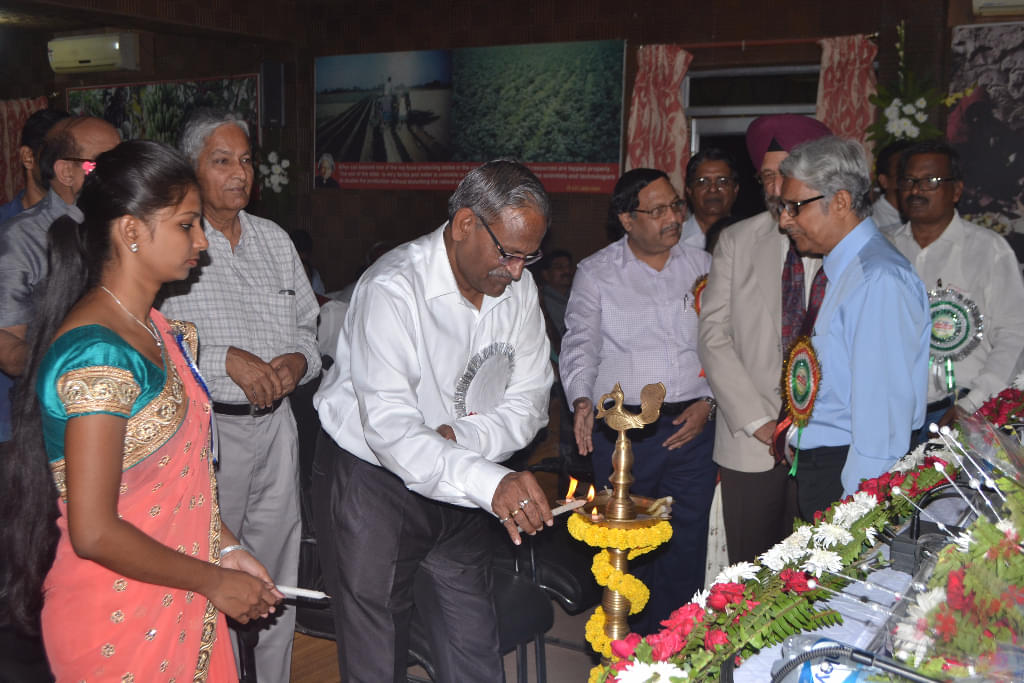 RPCAU Events photo 2