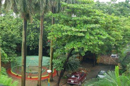 Lady Brabourne College Kolkata Infrastructure photo 6