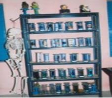 K.S.K. College of Education Thanjavur Facilities photo 6