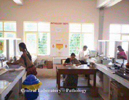 Hassan Institute of Medical Sciences Facilities photo 5