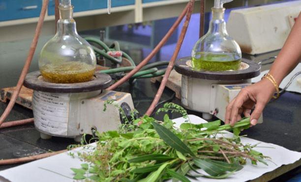 Sri Ramachandra College of Pharmacy Chennai Campus photo 3