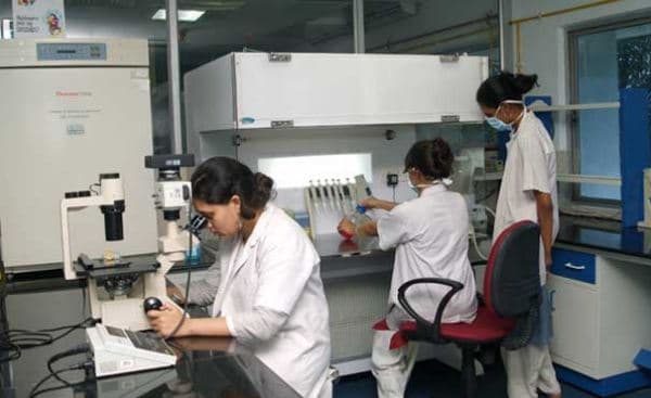 Sri Ramachandra College of Biomedical Sciences, Technology & Research Chennai Campus photo 1