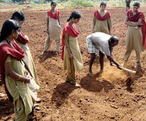 Agricultural Engineering College and Research Institute Coimbatore Campus photo 4