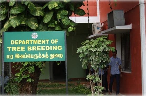 Forest College and Research Institute Mettupalayam Academic Building and Infrastructure photo 3