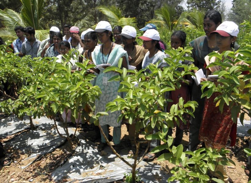 Horticultural College and Research Institute Coimbatore Events and Academic Building photo 3