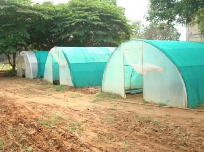 Horticultural College and Research Institute Periyakulam Infrastructure photo 3