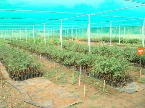 Horticultural College and Research Institute Periyakulam Infrastructure photo 4