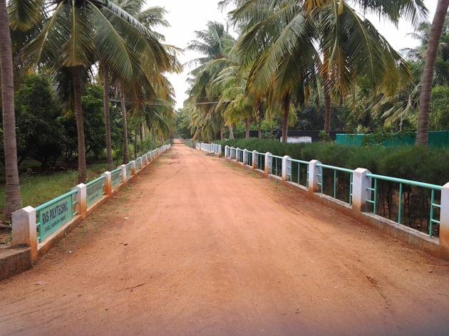 RVS Agriculture College Thanjavur Infrastructure photo 7