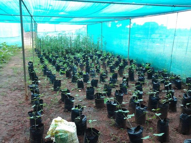 RVS Agriculture College Thanjavur Infrastructure photo 9