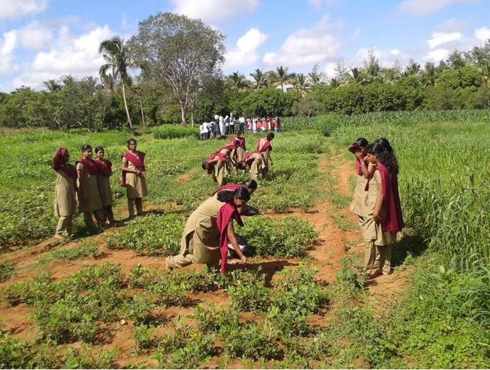 RVS Agriculture College Thanjavur Events photo 6