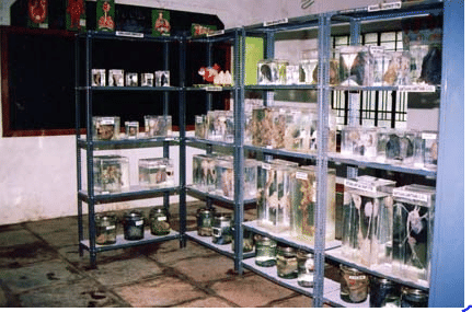 Acharya Deshabhushan Ayurvedic Medical College and Hospital Belagavi Infrastructure photo 3