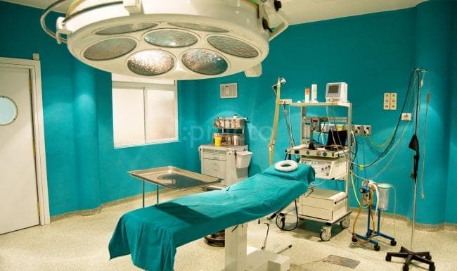 Indira Gandhi Institute of Child Health Bangalore Campus photo 5