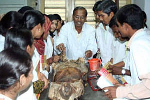 HKES Homoeopathic Medical College & Hospital Gulbarga Infrastructure photo 2