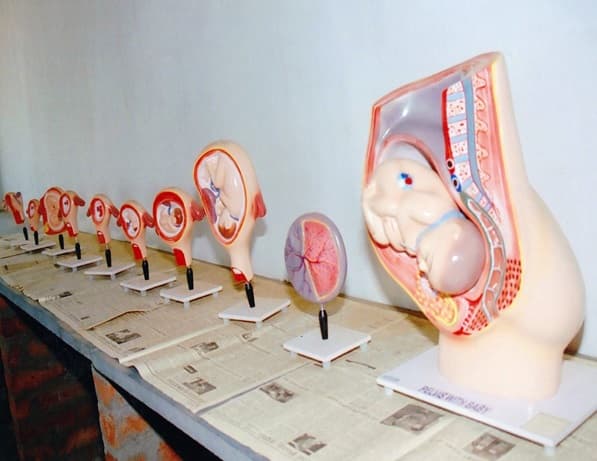 SBS College of Nursing Bangalore Infrastructure photo 5