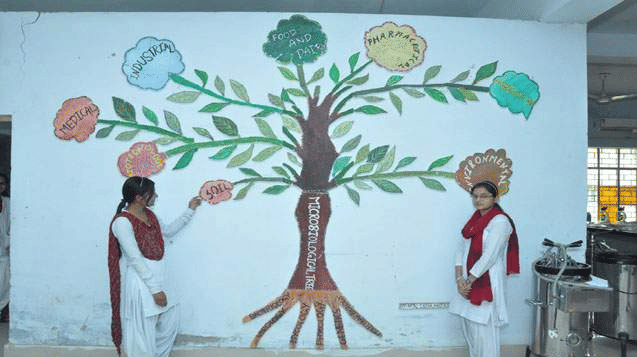 Chinmaya Degree College Haridwar Infrastructure photo 9