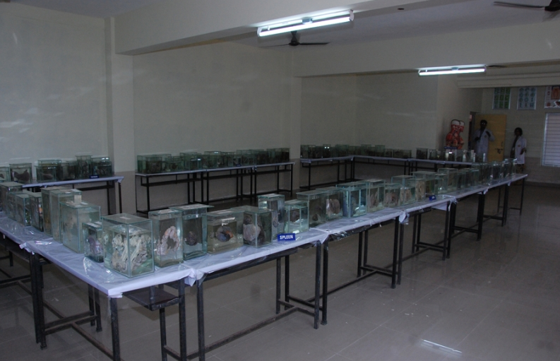 Karnataka Ayurveda Medical College Infrastructure photo 8
