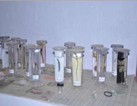 R. Muddurangegowda College of Education Sira Laboratory photo 3