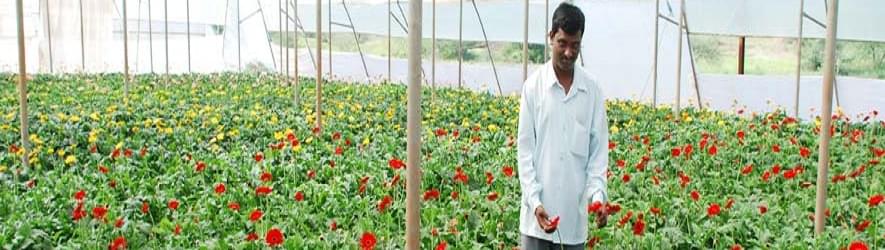 College of Agriculture Pune Events photo 6