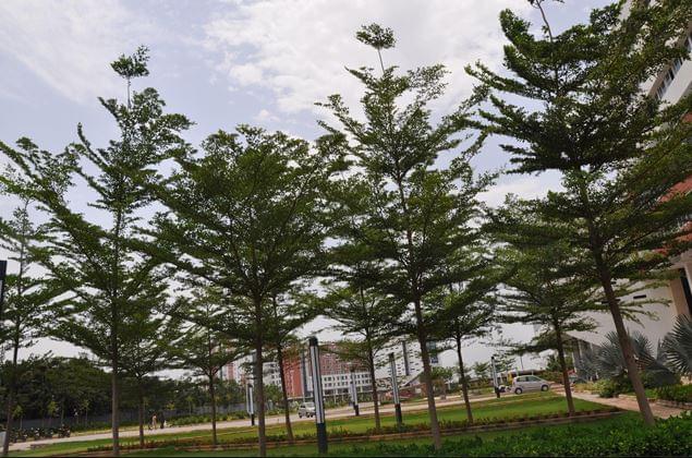 VIT Chennai Building & Infrastructure photo 9