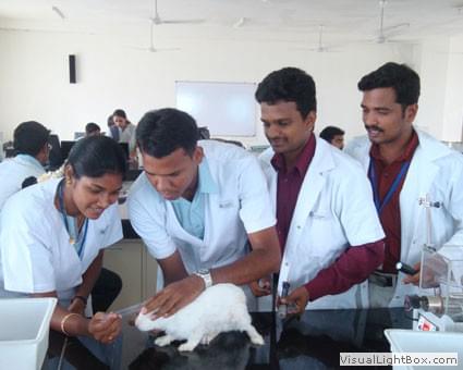 CARE Kelambakkam Infrastructure photo 12