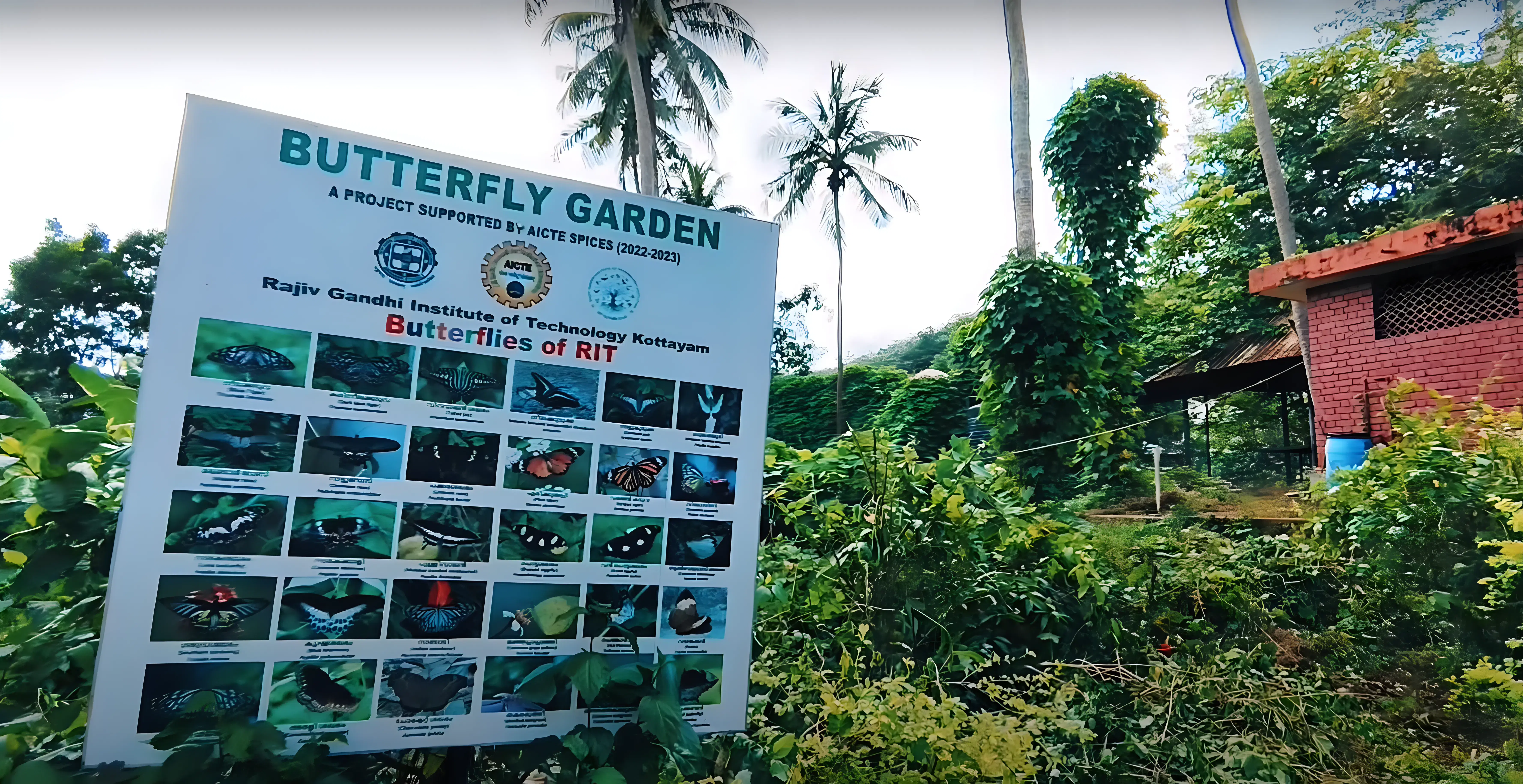 RIT Kottayam Campus photo 3