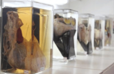 KS Hegde Medical Academy Mangalore Facilities photo 3