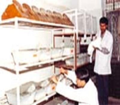 Faculty of Pharmacy, M. S. Ramaiah University of Applied Sciences Bangalore Facility photo 5