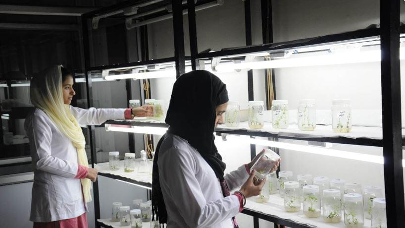 Akal College of Basic Sciences Sirmaur Infrastructure photo 10