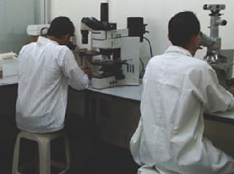 Apeejay Svran Institute for Bioscience and Clinical Research Gurgaon Campus photo 2