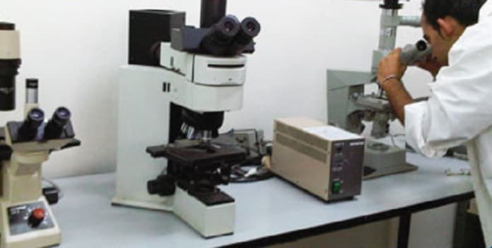 Apeejay Svran Institute for Bioscience and Clinical Research Gurgaon Campus photo 3