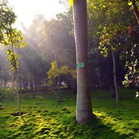 BMSIT Academic Buildings photo 16