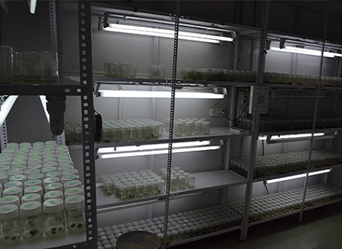 Government Science College Bangalore Campus with Facilities photo 8