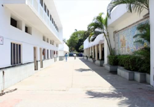 MLNC Yamunanagar Infrastructure photo 1