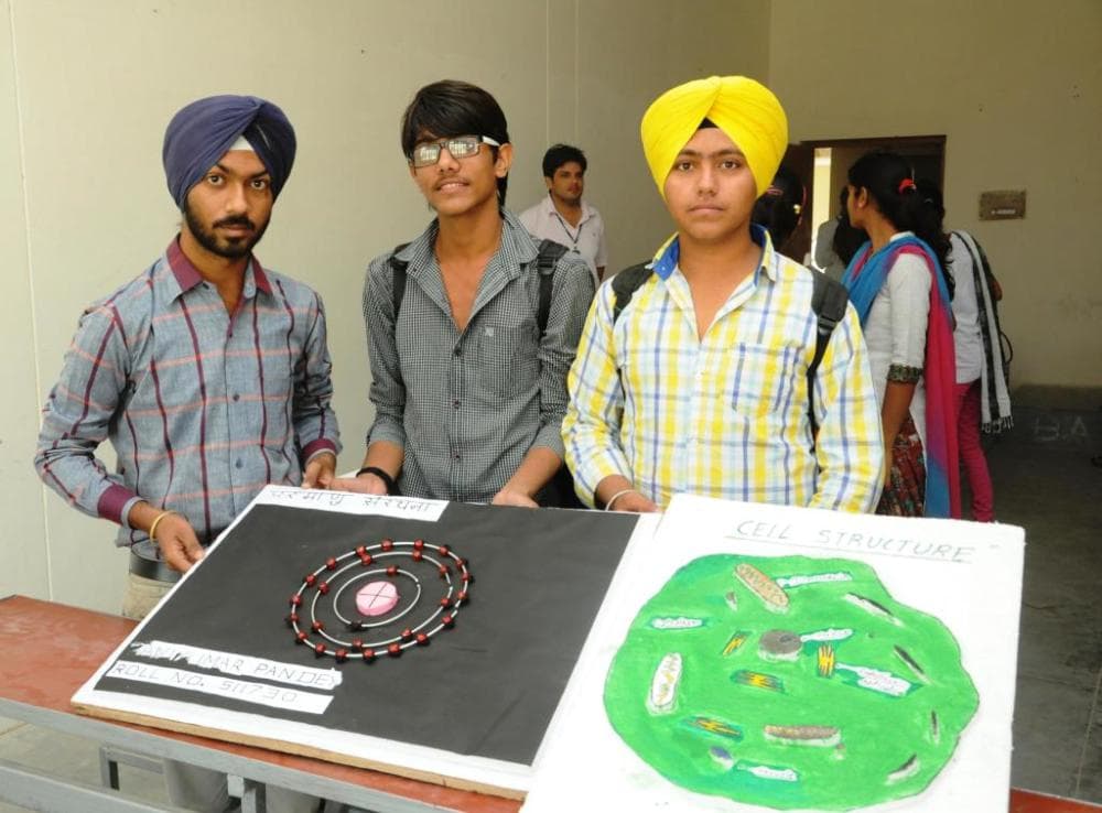 Suratgarh P.G. College Ganganagar Exhibition photo 13
