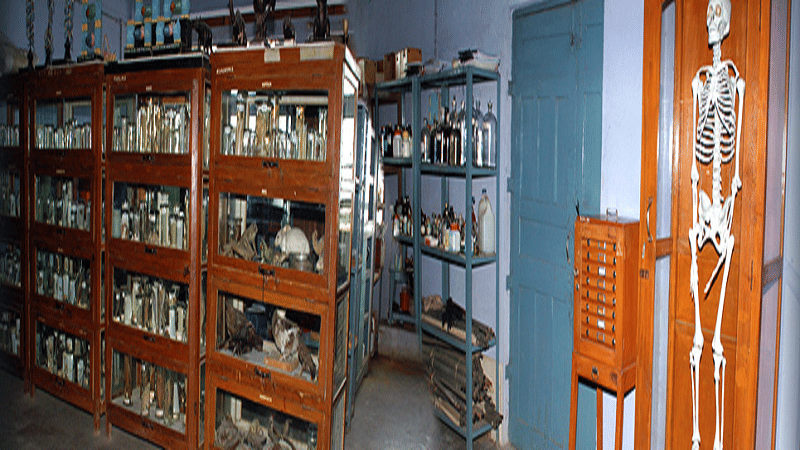 Rajarshi Shahu Mahavidyalaya Latur Library and Labs photo 4
