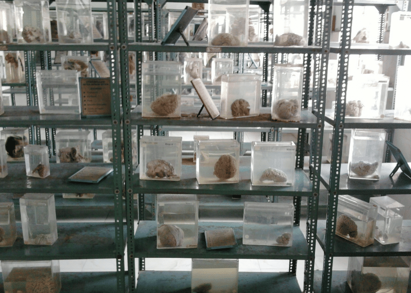 Vilasrao Deshmukh Government Medical College Latur Facilities photo 1