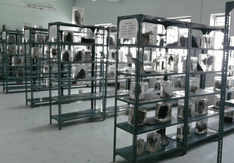 Vilasrao Deshmukh Government Medical College Latur Facilities photo 6