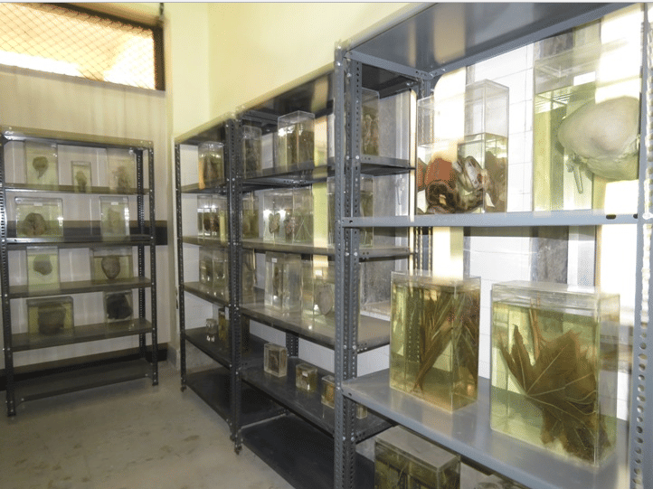 HBTMC Mumbai Campus photo 8