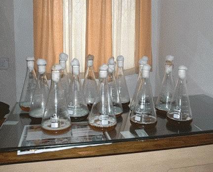 Shri Shivaji College of Agricultural Biotechnology Amravati Facility photo 1