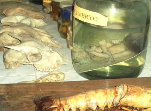 Smt Kandukuri Rajyalakshmi College for Women Rajahmundhry Laboratory photo 3