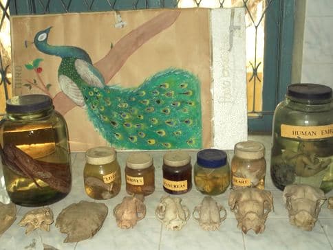 Smt Kandukuri Rajyalakshmi College for Women Rajahmundhry Laboratory photo 4