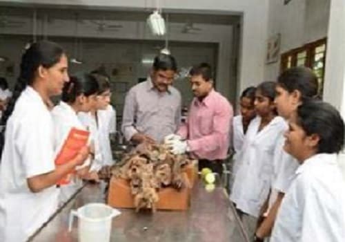 Santhiram Medical College & General Hospital Nandyal Campus photo 3