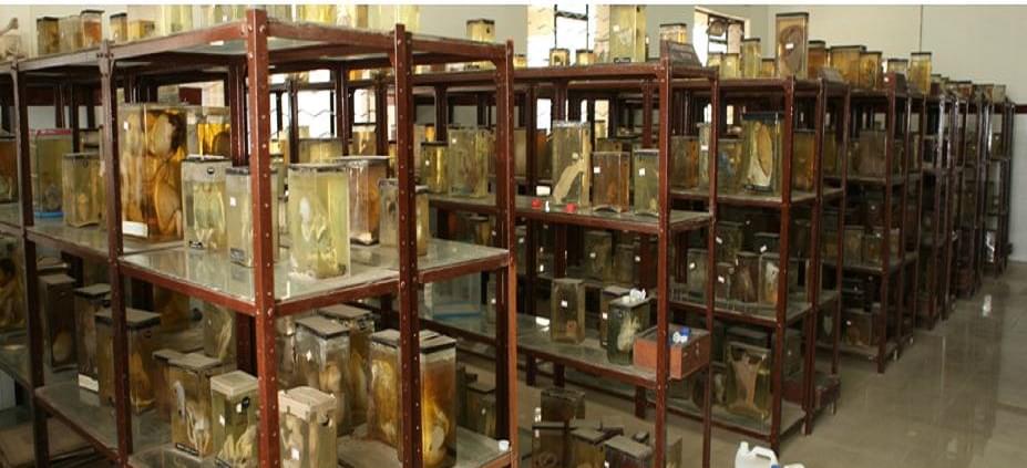 RMC Kakinada Campus photo 9