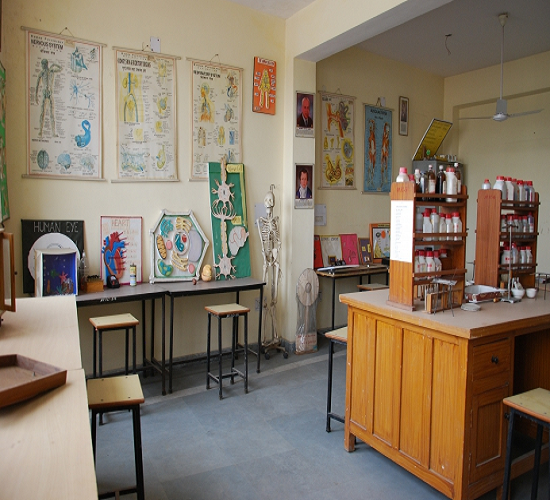 Delhi Teacher Training College New Delhi Infrastructure photo 1