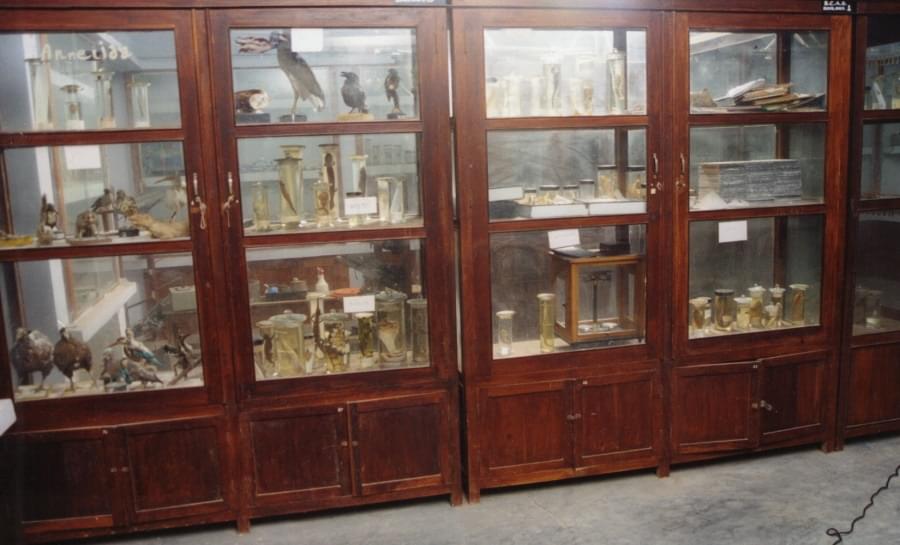 Bapatla College of Arts & Science Guntur Infrastructure photo 3