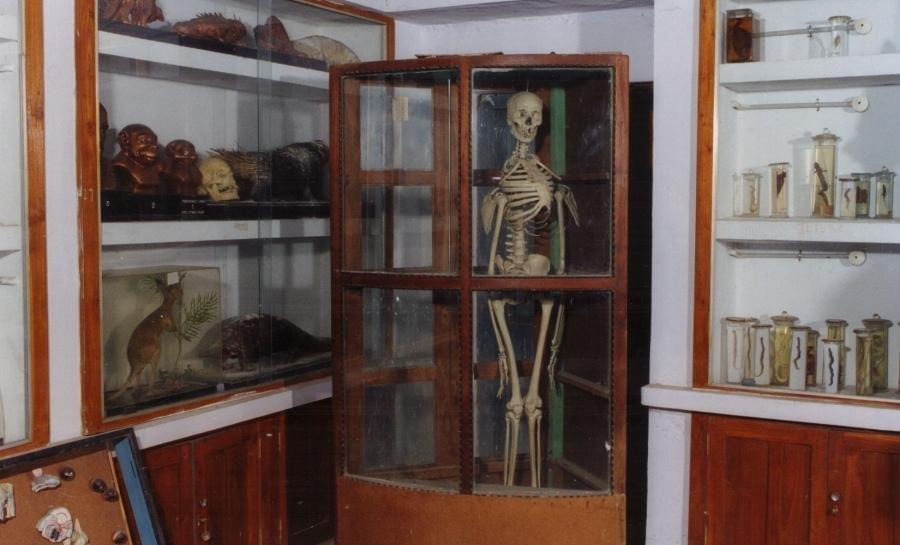 Bapatla College of Arts & Science Guntur Infrastructure photo 8